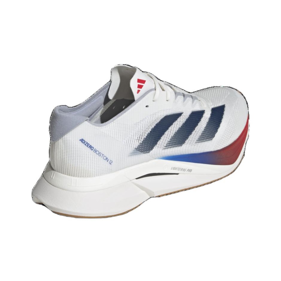 Adidas Adizero Boston 12 Runni - Adidas Shoes Adizero Boston 12 ulasan dan harga